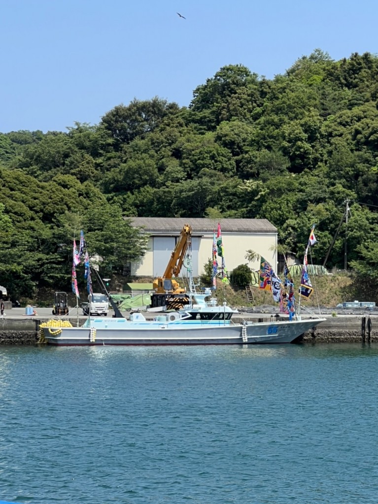 S__42221599