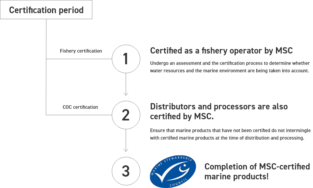 Certification image