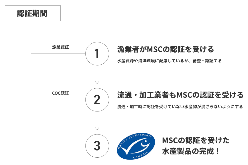 認証イメージ